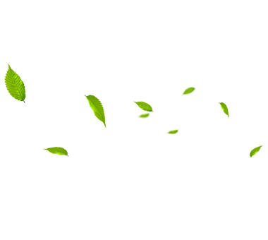 MHL Power Dongfang Bolar Co., Ltd. (MHDB)