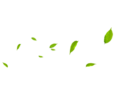 MHL Power Dongfang Bolar Co., Ltd. (MHDB)