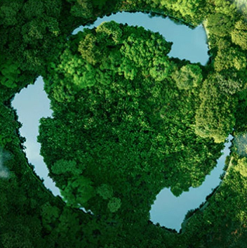 MHL Power Dongfang Bolar Co., Ltd. (MHDB)